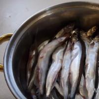 How to salt capelin so that it is very tasty